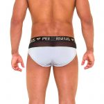 Perseus_Underwear_Thebes_Brief_Gray_Back