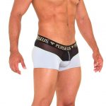 Perseus_Underwear_Thebes_Trunk_Gray_Side