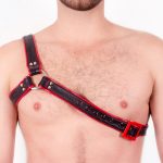 Perseus-Harness-Hercules-Front