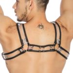 Perseus-Dale+-Theseus-Transparent-Back