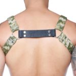 Perseus-Dale+-Orpheus-Camo-Back